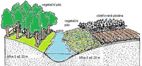 Vegetační