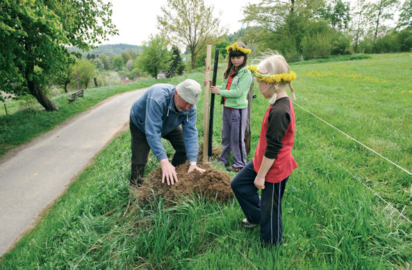 V anketě Strom roku hledáme strom, který žije s vámi. Máte chuť udělat něco pro stromy ve svém okolí? Chcete je zviditelnit, získat pro ně odborná ošetření, vysadit nové?