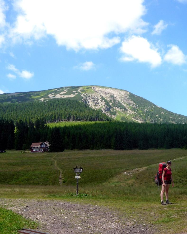 Obrázek č.1 Martina na cestě za šťovíkem Vlastní foto Prohlášení: Prohlašuji, že jsem závěrečnou práci zpracovala samostatně pod vedením školitelky Doc. RNDr. Zuzany Münzbergové, Ph.