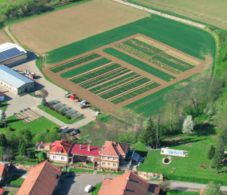 Vliv fungicidního ošetření na výnos odrůdy Tosca (agrotechnické pokusy SELGEN, Krukanice, Stupice,