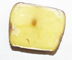 Obrázek č. 5.20: Fotografie vzorku bramboru vystavenému účinku 10 rázových vln. Poškození tkáně je patrné pouze v okolí ohniska fokusovaných rázových vln. vzorku je 6 cm.