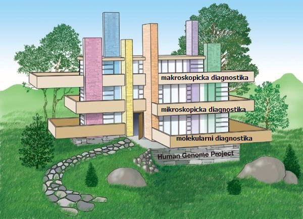 Etiopatogeneze nemocí Všeobecná patofyziologie Poznání etiologie a patogeneze nemocí (důležité pro jejich léčbu) se uskutečňuje na řadě úrovní: na úrovni celého organizmu (prosté smyslové pozorování)