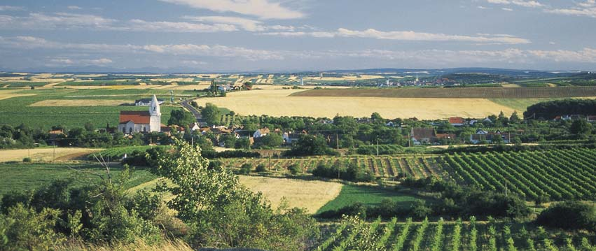 vinařská turistika na