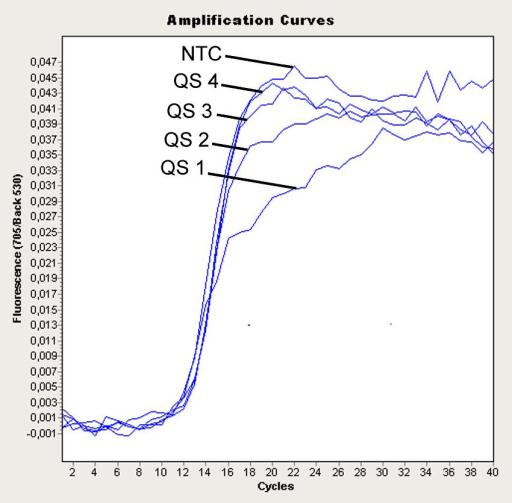Obr. 17: Průkaz Kvantifikačních standardů (CMV QS 1 4) ve fluorescenčním kanálu 530 přístroje LightCycler 2.0. NTC: beztemplátová kontrola (negativní kontrola). Obr.