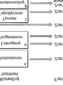 120 15. HORMONÁLNÍ ŘÍZENÍ pak odpovídá přímým nervovým řízením vegetativního nervstva nebo sekrecí neurohormonů.