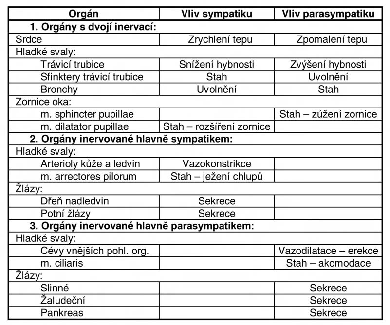 140 16.NERVOVÁ SOUSTAVA kolika úrovních. Jednoduché reflexy se odbývají uvnitř příslušného orgánu, do komplexnějších reakcí (koordinovaných často se somatickým nervstvem např.