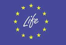 LIFE + Příklady úspěšných projektů s českým zastoupením v rámci programu Life (2004-2006): Záchrana lužních stanovišť v povodí Morávky Obnova teplomilných stanovišť v Moravském krasu Projekty se
