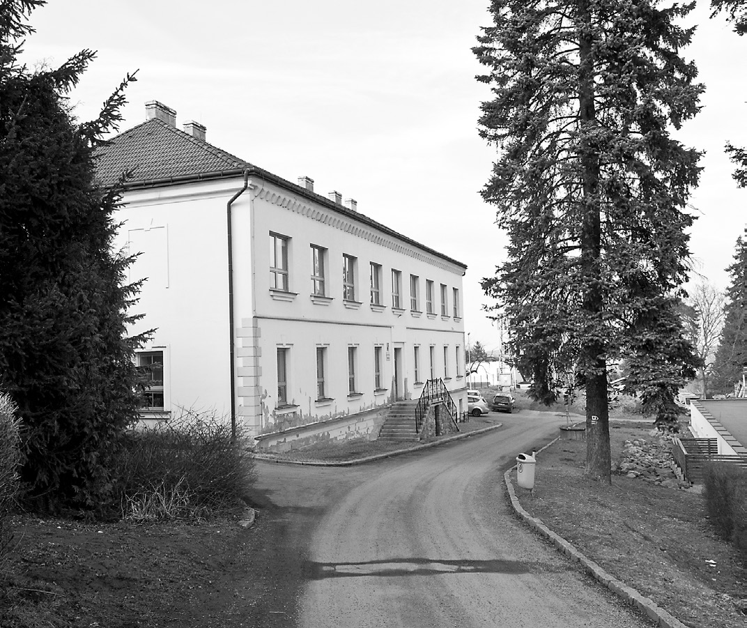 ŠKOLNÍ ZPRAVODAJ 16 (16. 30. duben 2013) Možná jste zaznamenali kácení stromů na školní zahradě.