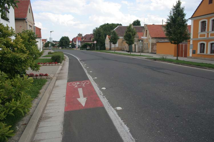 Vedení cyklistické dopravy v hlavním dopravním prostoru je základním integračním opatřením pro cyklisty v hlavním dopravním prostoru, který vhodně přerozděluje tak, že jednak cyklistům poskytuje