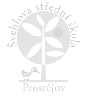 Přílohy Organizační schéma Švehlova střední škola, Prostějov ŘEDITEL STATUTÁRNÍ ZÁSTUPCE nám.