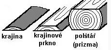 Proto jistě nebude na škodu připomenout si některé poznatky právě o dřevu. PŘÍČNÝ ŘEZ KMENEM STROMU 1 KŮRA = BORKA 2 LÝKO Ochranná vrstva na obvodu kmene dřeviny. Vede a ukládá organické látky.