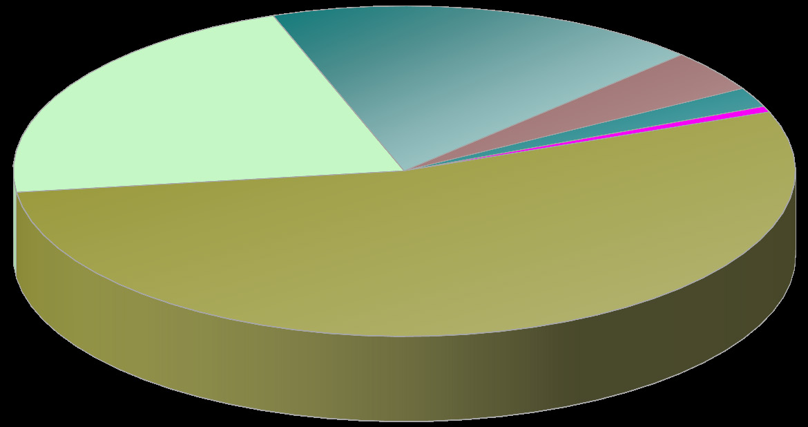 Struktura počtu lékařů *) a lůžek podle druhu zařízení Structure of physicians*) and beds by type of establishment LÉKAŘI / PHYSICIANS IV. 21,6% V.