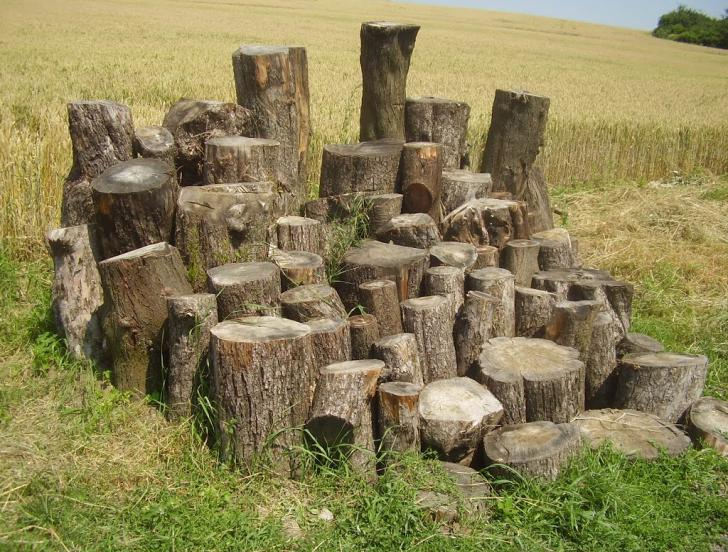 Pakliže vzniknou vyšlapaná místa nutné dosetí stejnou travní směsí. Náklady na následnou péči nejsou předmětem dotace, budou hrazeny žadatelem. 9.7. Doprovodné prvky a mobiliář 9.7.1.