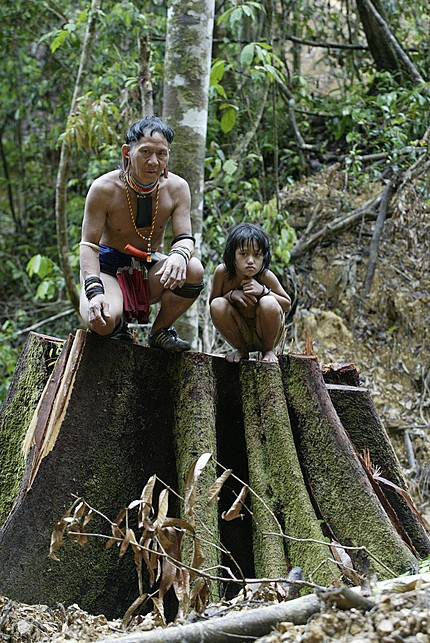 Vliv člověka: Tropické deštné pralesy se nazývají klenoty Země, plíce Země a největší lékárna světa.