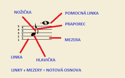 Noty jsou znaky pro zápis tónu, zapisujeme je do notové osnovy části noty hlavička, nožička, praporec