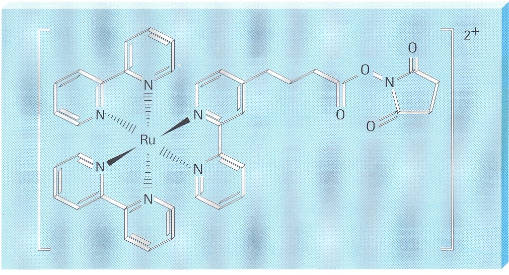 Elektrochemiluminiscence přístroj Elecsys nebo Modular s modulem E 170 (Roche Diagnostic) Uspořádání metody kompetitivní nebo sendvičové