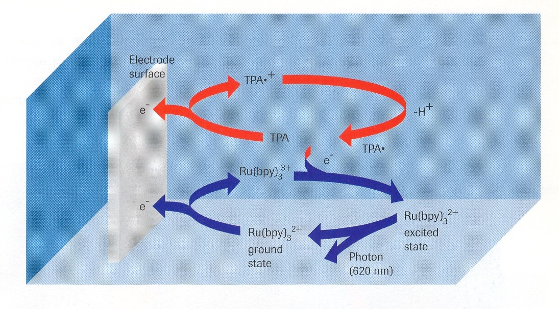 Elektrochemiluminiscence přístroj Elecsys