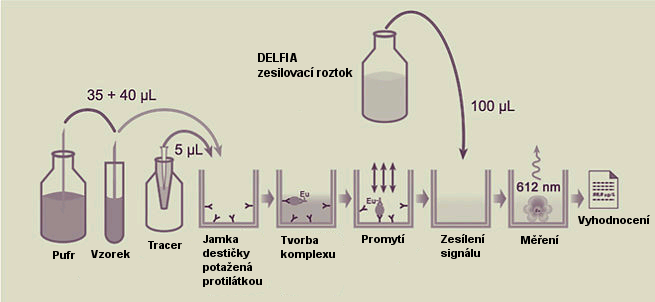 uspořádání 8x12 jamek se specifickou