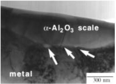 13 Odolnost vůči oxidaci za vysoké teploty dosahují kovové materiály schopností vytvo it na svém povrchu ochrannou vrstvu.