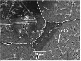 Vzorkům vystavených tepelné expozici ve struktu e vznikly karbidy M 23 C 6 spolu s precipitáty.