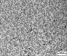 53 4.9 Nástřik FeAl I 4.9.1 Tepelně nezpracovaný vzorek Samotný nást ik bez substrátu m l tloušťku 11 mm. Na snímcích ze sv telného mikroskopu je zachycena struktura nást iku. Z obr.