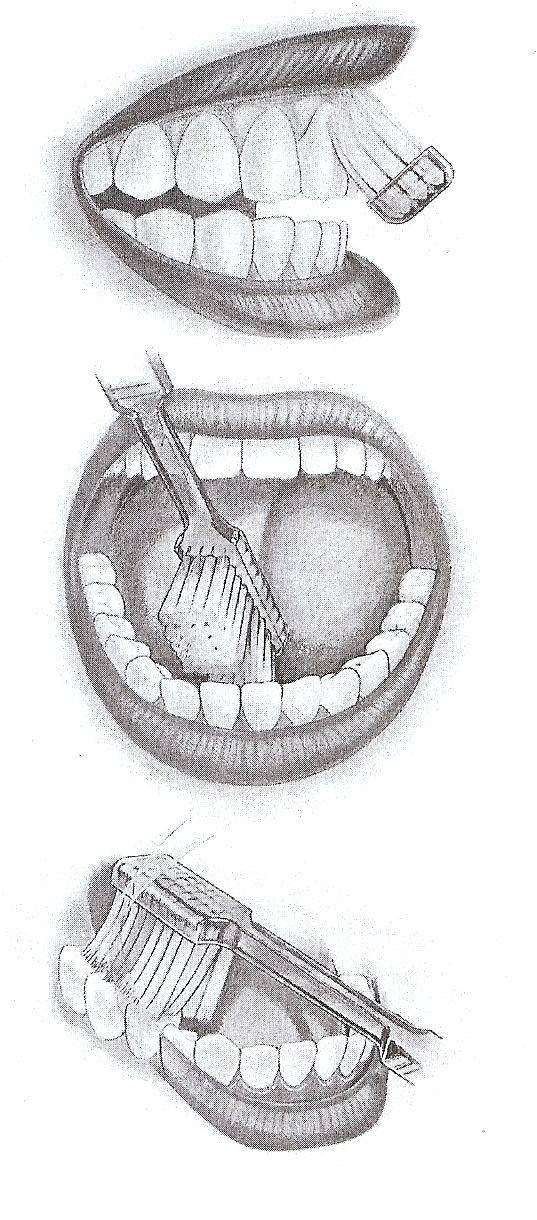 Příl. 3 Správný způsob čištění zubů VURM, V.