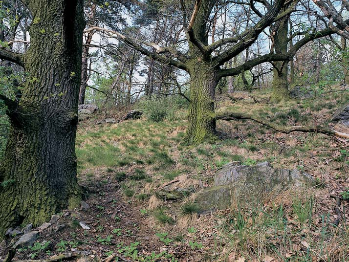 Stfiední âechy GEOLOGIE ProtaÏené tûleso ãoãkovitého tvaru je tvofieno silicity (buliïníky) zpravidla svûtl ch barev.