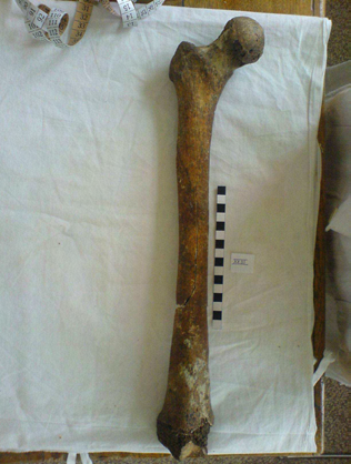 Výška postavy: minimálně 170,8 nebo 171,6 cm (rozměr kosti stehenní podle Manouvrier 1894 a Pearson 1899,