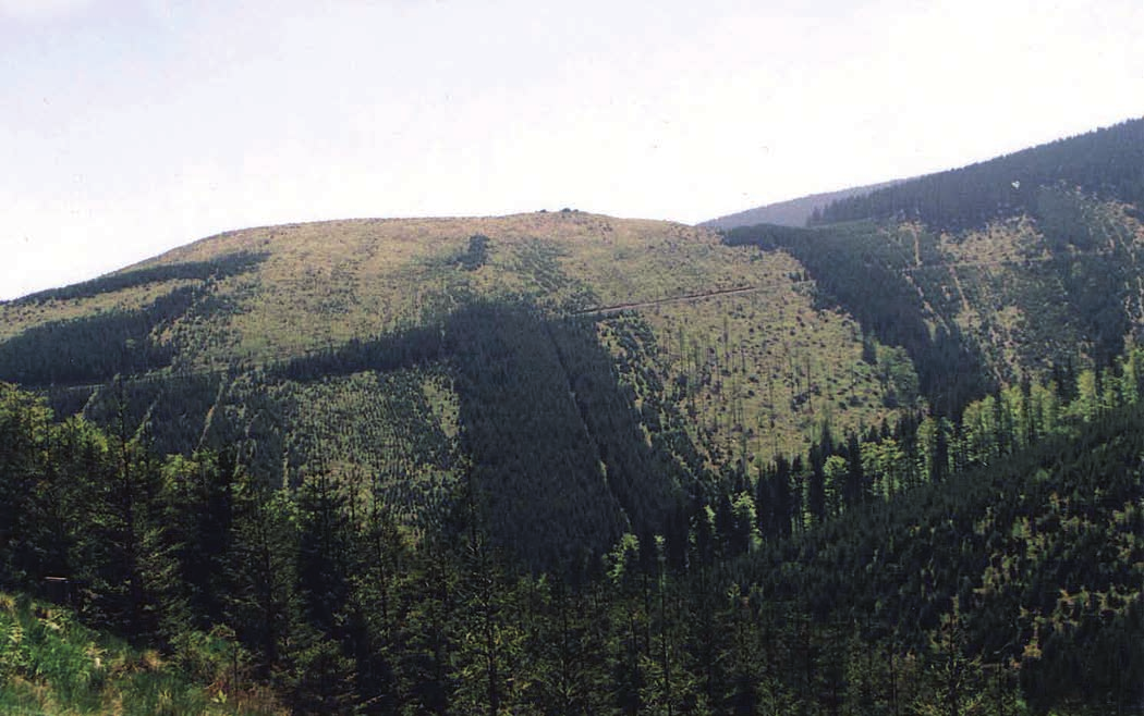 Pohled přes údolí Střední Opavy na severozápadní svah Sokolu View of the valley of the Middle Opava creek with North-Western slope of Sokol Mount C JR MD 3 BRK 4 MD JR 5 Obr. 4. Schéma rozmístění dřevin na ploše č.