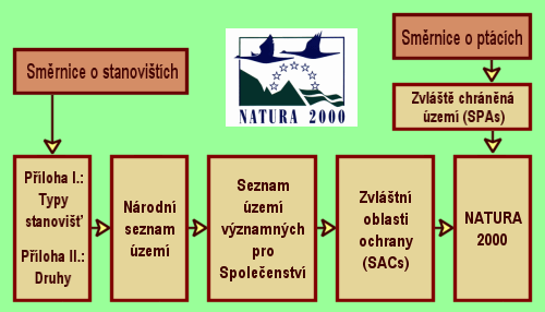 V EU: 253 typů přírodních stanovišť 381 druhů živočichů (181 ptáků) 434 druhů rostlin V ČR: 58 typů přírodních stanovišť 120 druhů živočichů (65 ptáků) 16 druhů rostlin