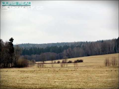 3) Zemědělská půda, Kolinec Orná půda v katastru obce Buršice, okr.