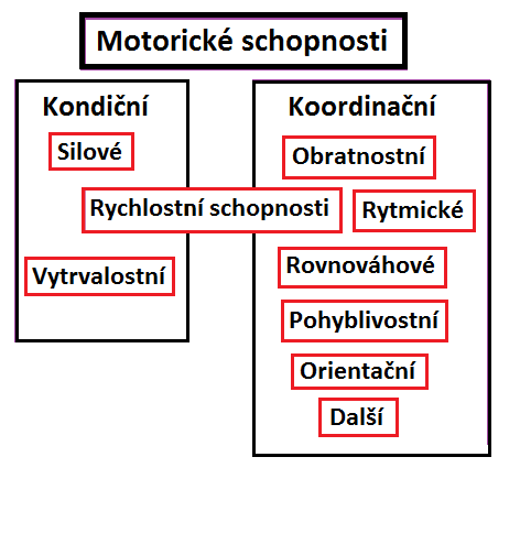 5 MOTORICKÉ SCHOPNOSTI Obrázek 4- Schéma rozdělení motorických schopností (Meinel, Schnabel) Motorické schopnosti jsou relativně samostatné soubory vnitřních funkčních předpokladů jedince pro