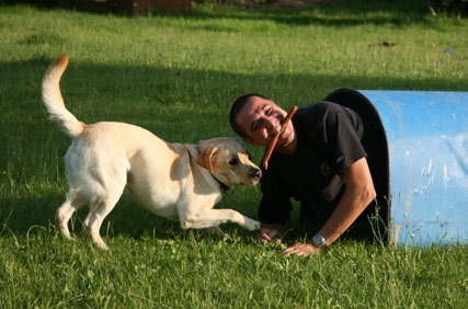 Provozování společných aktivit zároveň posiluje dobrý vztah mezi psem a člověkem, který je pro výkon canisterapie nezbytný.