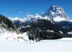 Fosca cca 1 km od údolní stanice lanovky v Pescul, kde také končí sjezdovka z Monte Fertazza, odkud se lze na lyžích dostat do celého střediska. Zastávka skibusu před rezidencí.