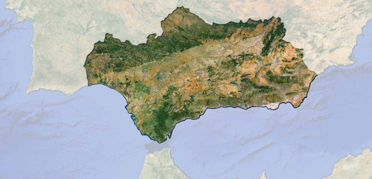 mapa výletů: Andalusie Costa Del sol Status: oblast španělské provincie Andalusie Délka pobřeží: 161 km Měna: EURO Jazyk: španělština Španělsko Andalusie Costa del Sol O ANDALUSII Andalusie patří