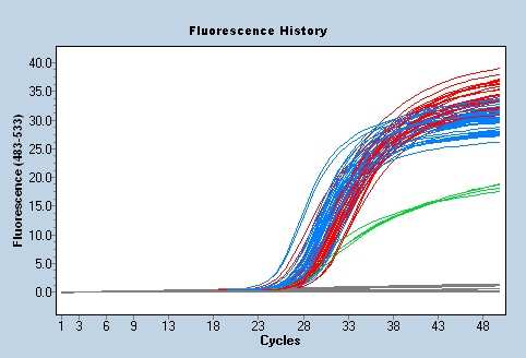 pomocí Real Time PCR.