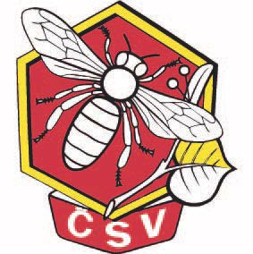 Český sv