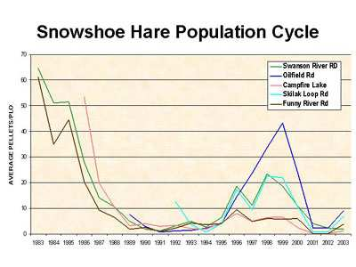 Snowshoe hare (Lepus americanus) populations in the