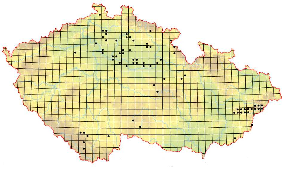 Slatiniště a přechodová rašeliniště Vápnitá slatiniště