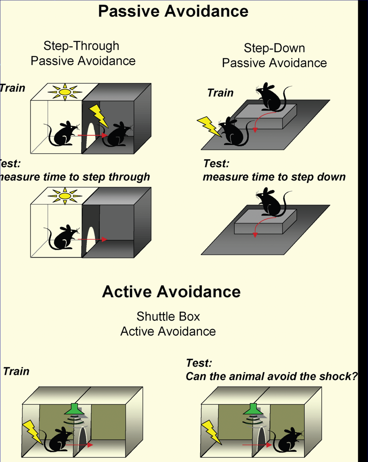 Pasivní a aktivní vyhýbání se Pasivní vyhýbání nejčastěji používané modifikace 1. Step-through, Step-down Obě úlohy jsou do jisté míry závislé na hipokampu, např.