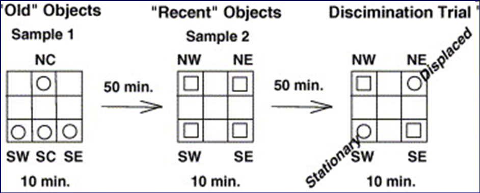 Wistar rats show episodic-like memory for unique