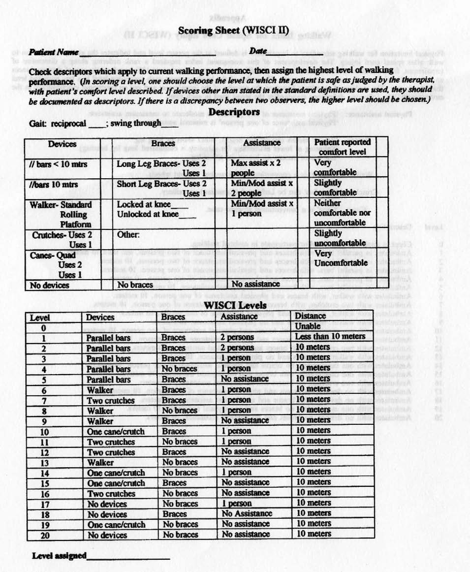 Příloha č. 13 Walking Index for Spinal Cord Injury II Obrázek 42.