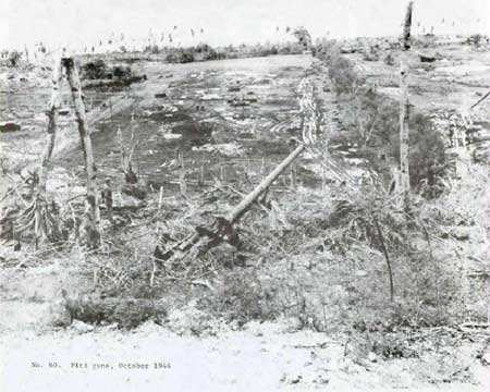 Baterie byla americkými jednotkami obsazena 22. července 1944. Dělo číslo jedna bylo umístěno ve vybetonovaném palebném postavení o čtvercovém půdorysu.