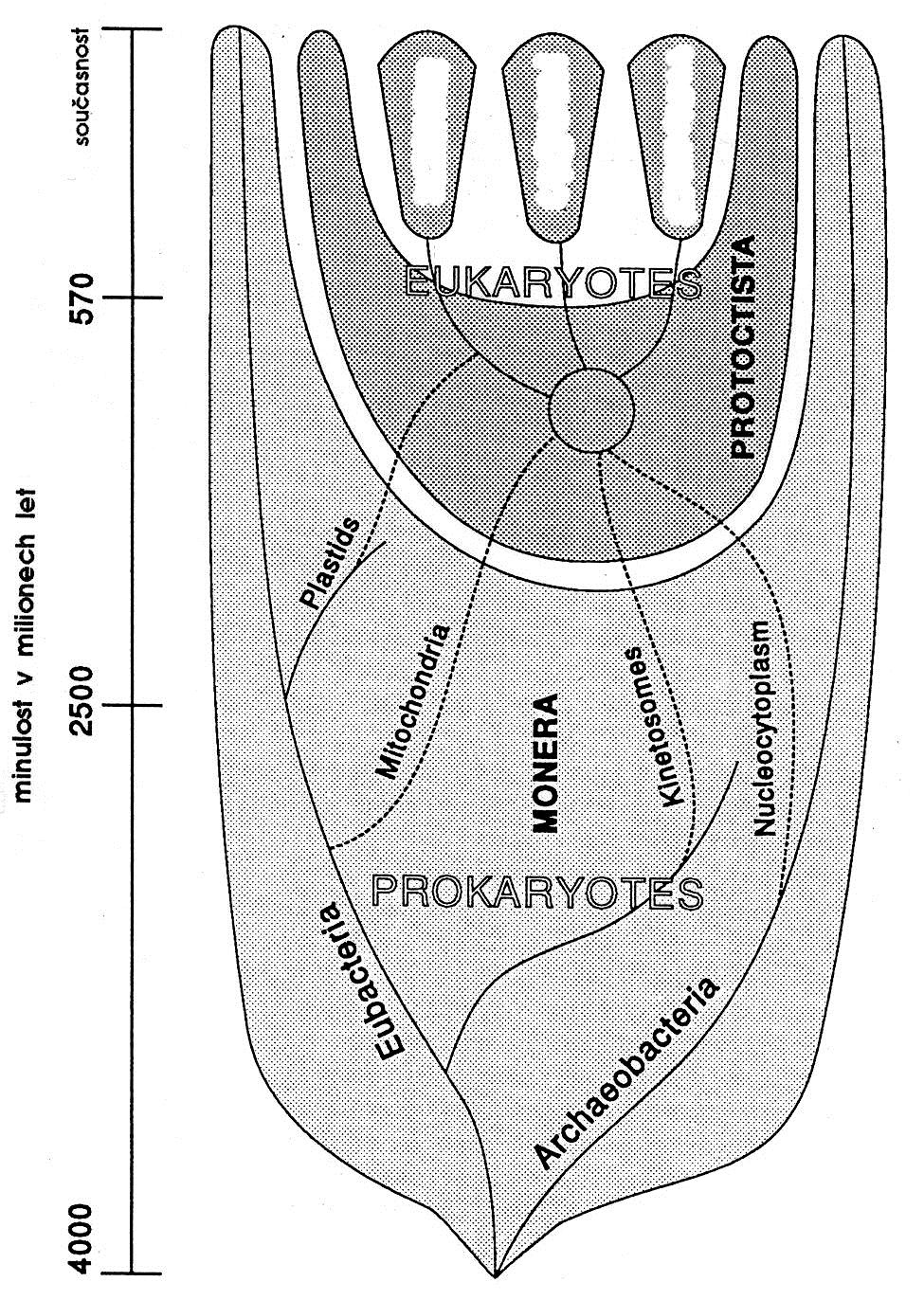 PLANTAE ANIMALIA