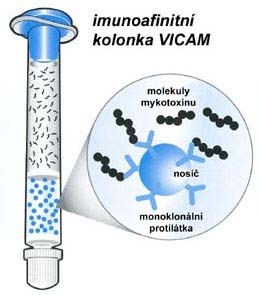 Aflatoxiny IAC Příprava a extrakce vzorku - rozetření a navážení doporučeného množství vzorku,smíchání vzorku s roztokem NaCl a vodným methanolem, filtrace Ředění a filtrace - nařeďění potřebného