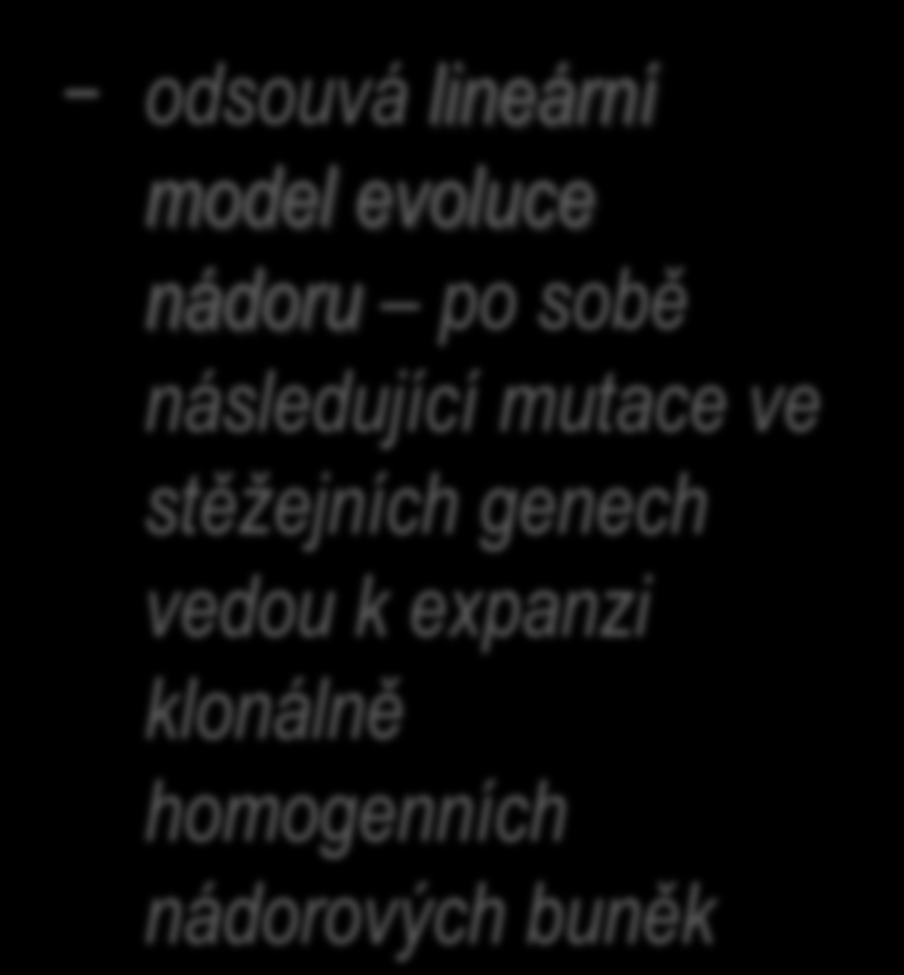 primárního nádoru i mezi primárem a metastázou odsouvá lineární model evoluce nádoru po sobě