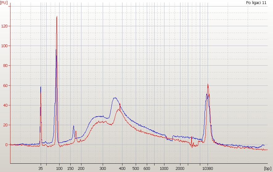 Non-ligationable DNA Adaptors Adaptors ligated together DNA + ligated adaptors Upper marker Lower marker FFPE DNA Library preparation for