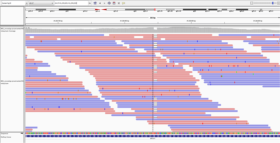 Next Generation Sequencing Složité: biostatistické