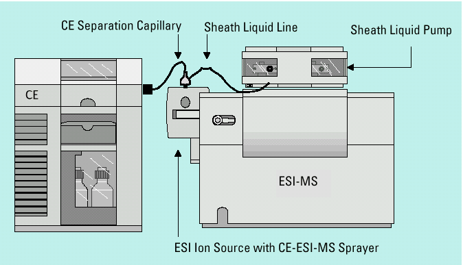 CZE-MS