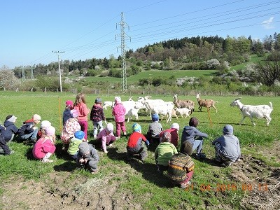 Sledovaly jak se rodí jehňátka, jak sají od maminek mléko a jakou péči dostávají v podobě podestýlek ze sena. Pokochali jsme se pohledem v překrásném slunečném počasí na tyčící se hrad. 22.4.